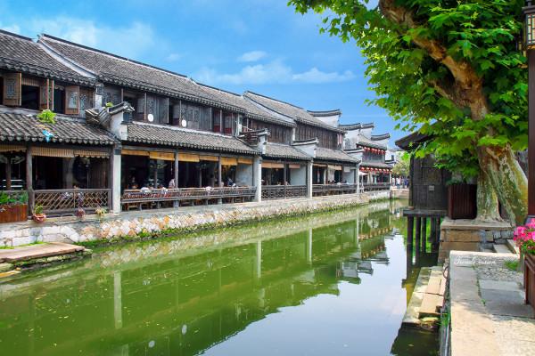 上海花卉展在什么地方？